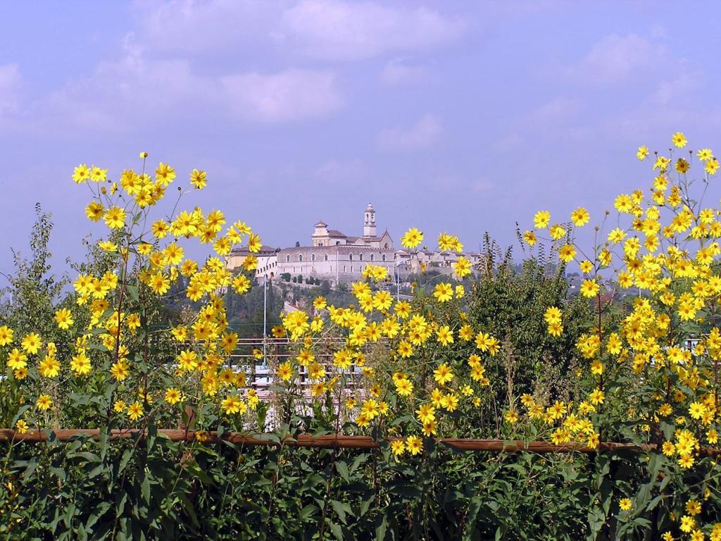 Tavarnuzze Il Poggiolo Delle Rose Bed&Breakfast מראה חיצוני תמונה