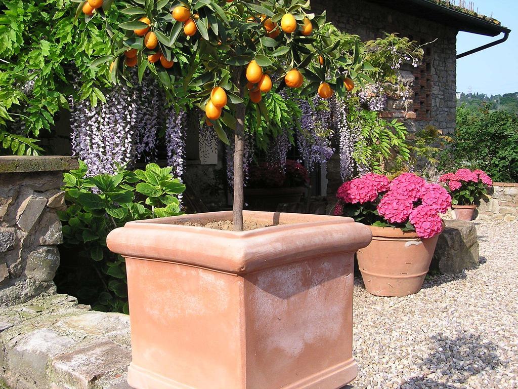 Tavarnuzze Il Poggiolo Delle Rose Bed&Breakfast מראה חיצוני תמונה