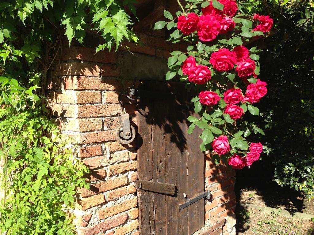 Tavarnuzze Il Poggiolo Delle Rose Bed&Breakfast מראה חיצוני תמונה